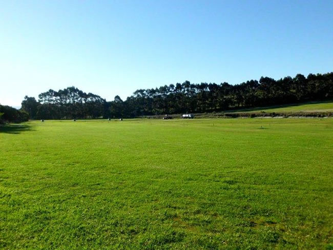 Field of Kikuyu